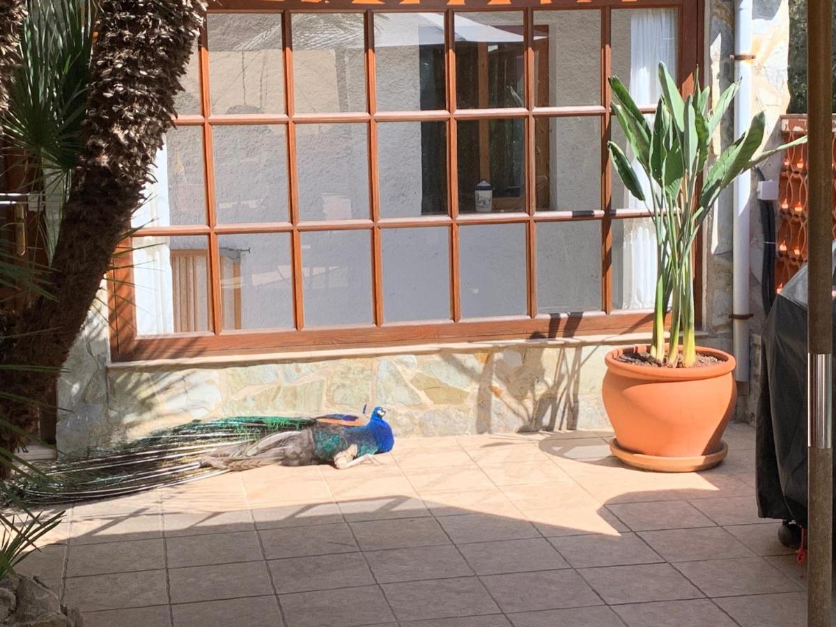 Villa Casa Lisboa Cala Mesquida  Exterior foto